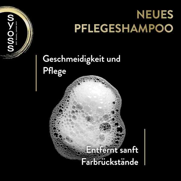 Haarfarbe 6_10 Dunkelblond Syoss Oleo Intense