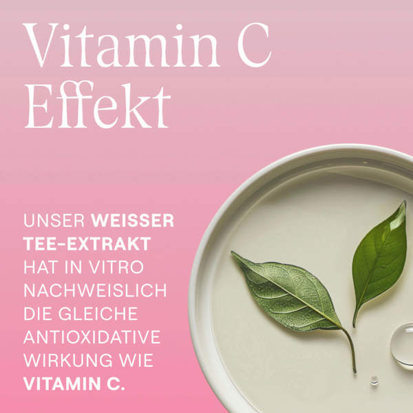 Intensiv-Kur Ampullen Wildrose (7 x 0,8ml) WELEDA